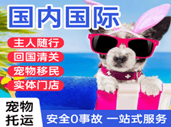 大连周水子机场快运国际宠物托运 【国
